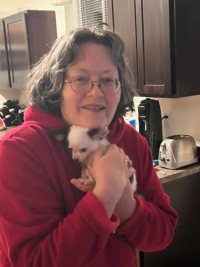 Winter, a Chihuahua puppy from Pawrade