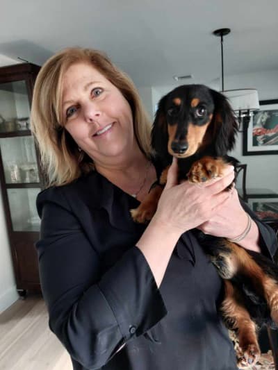 Frito, a Dachshund, Mini puppy from Pawrade