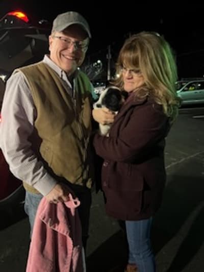 Eris, a Cavalier King Charles Spaniel puppy from Pawrade