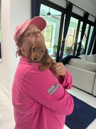 Lotti, a Dachshund, Wire puppy from Pawrade