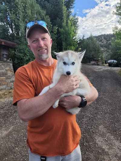 Jessa, a Siberian Husky puppy from Pawrade