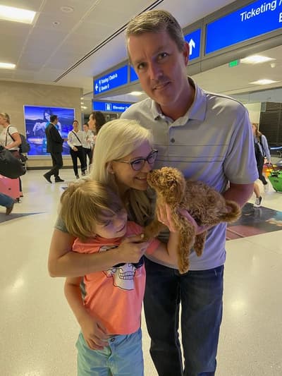 Rain, a Goldendoodle, Mini puppy from Pawrade