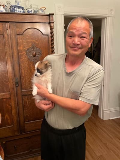 Grayson, a Pomeranian puppy from Pawrade