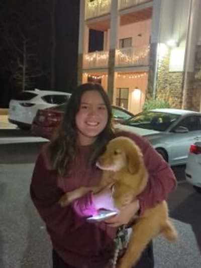 Lucas, a Golden Retriever puppy from Pawrade