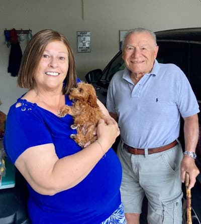 Hawk, a Poodle, Toy puppy from Pawrade