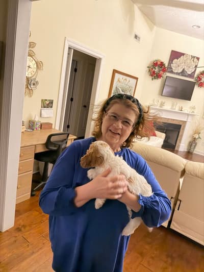 Haven, a Cavapoo puppy from Pawrade