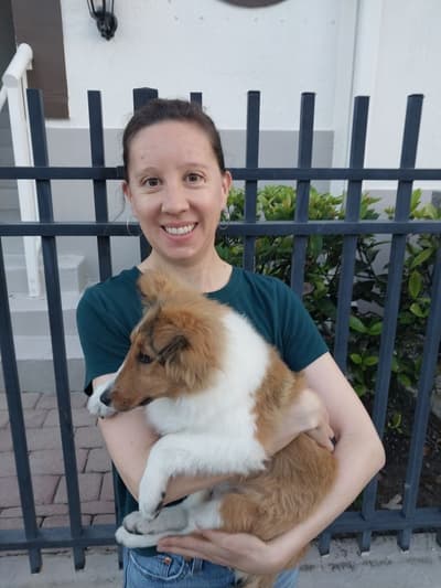 Persephone, a Shetland Sheepdog - Sheltie puppy from Pawrade