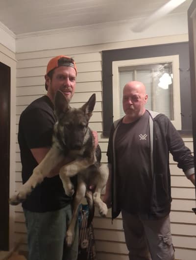 Bella, a German Shepherd puppy from Pawrade