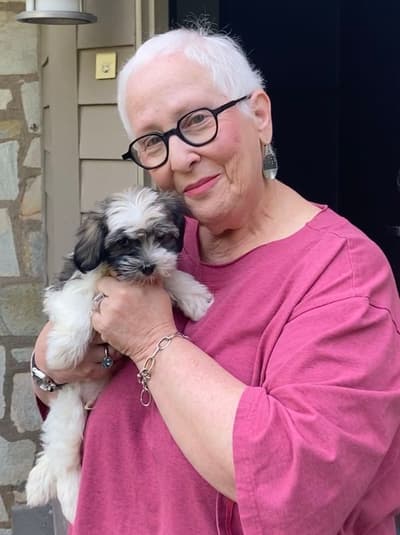 Rhett, a Havanese puppy from Pawrade
