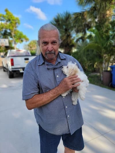 Bonita, a Havanese puppy from Pawrade