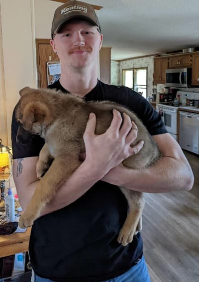 Diamond, a German Shepherd puppy from Pawrade