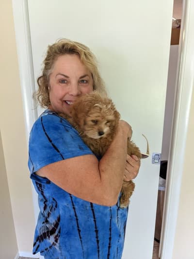 Grace, a Cockapoo puppy from Pawrade