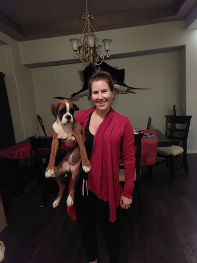 Cara, a Boxer puppy from Pawrade