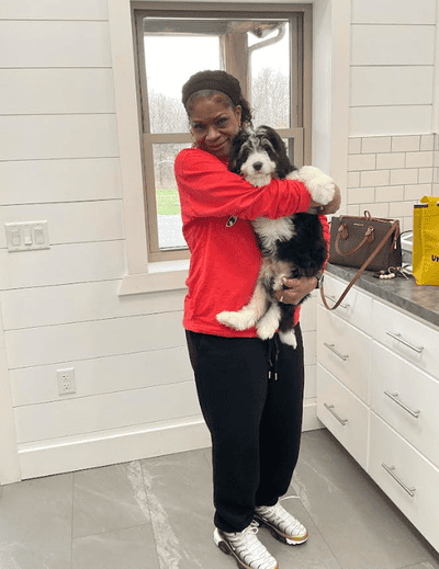 Gatlin, a Bernedoodle, Mini puppy from Pawrade