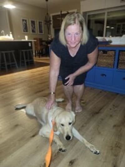 Marsha, a Golden Retriever puppy from Pawrade