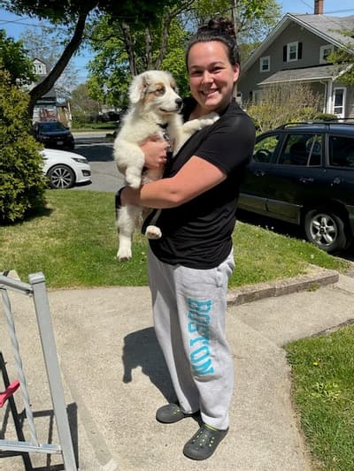 Doc, a Australian Shepherd puppy from Pawrade