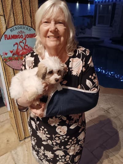 Charles, a Coton De Tulear puppy from Pawrade