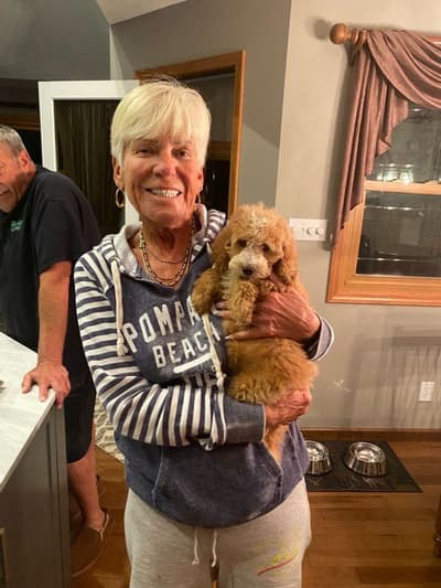 Marley, a Goldendoodle, Mini puppy from Pawrade