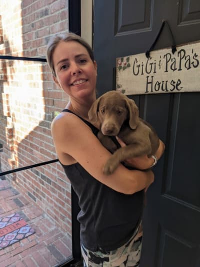 Coral, a Labrador Retriever puppy from Pawrade