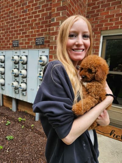 Catelyn, a Cavapoo puppy from Pawrade
