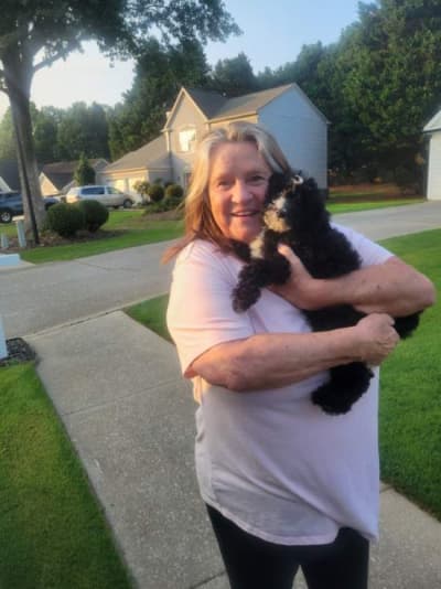 Jessica, a Bernedoodle, Mini puppy from Pawrade