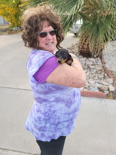 Freya, a Dachshund, Mini puppy from Pawrade