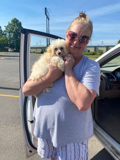 Rosie, a Bich-Poo - Bichpoo puppy from Pawrade