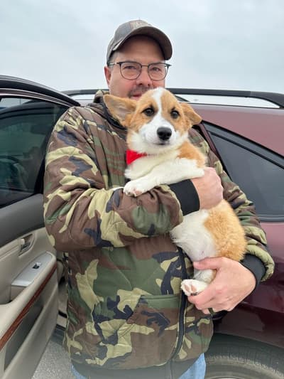 Reagan, a Corgi, Pembroke Welsh puppy from Pawrade