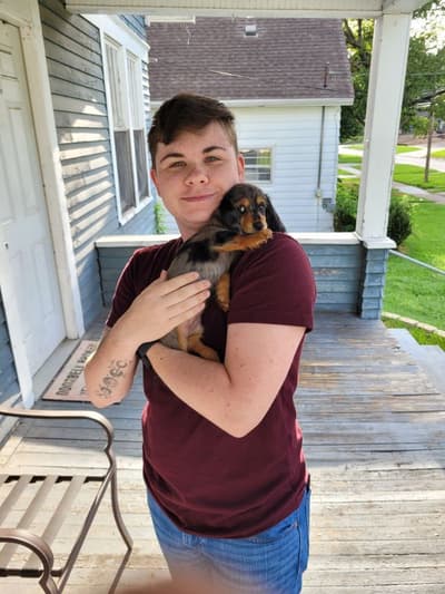 Pippy, a Dachshund puppy from Pawrade