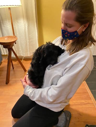 Tory, a Cockapoo puppy from Pawrade