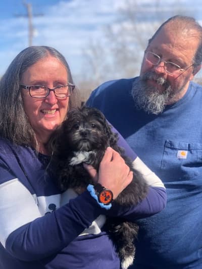 Chester, a Peekapoo puppy from Pawrade