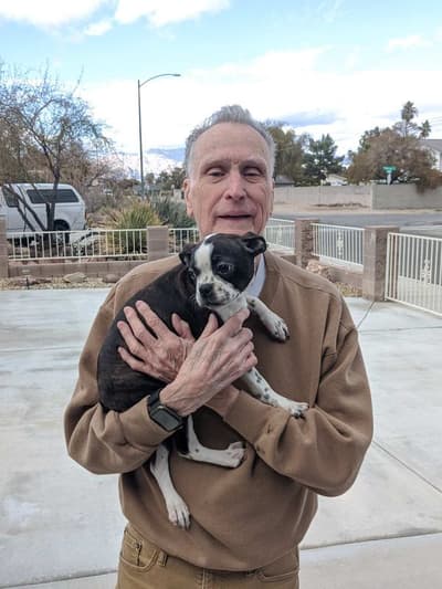 Nova, a Boston Terrier puppy from Pawrade