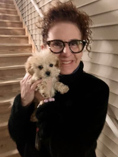 Aindreas, a Cockapoo puppy from Pawrade