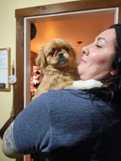 Bart, a Pekingese puppy from Pawrade