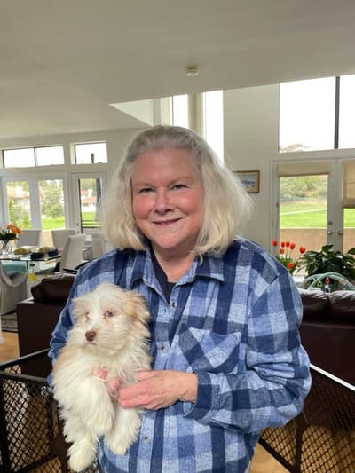 Brooklyn, a Havanese puppy from Pawrade