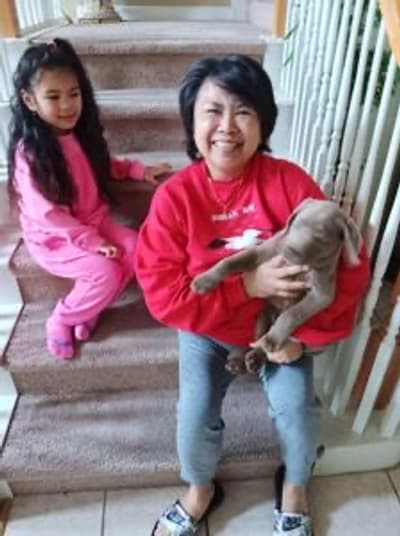 Cirrus, a Labrador Retriever puppy from Pawrade