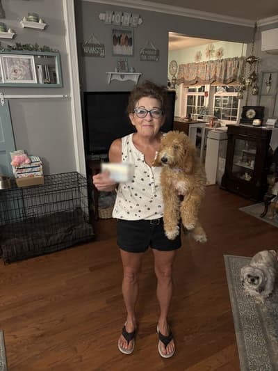 Fiona, a Goldendoodle puppy from Pawrade