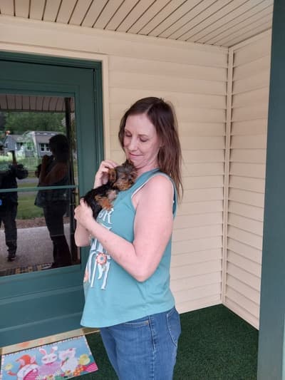 Leo, a Yorkshire Terrier - Yorkie puppy from Pawrade