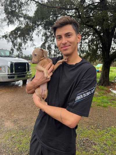 Braedon, a Italian Greyhound puppy from Pawrade