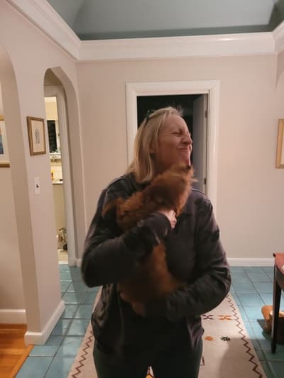 Addison, a Labradoodle puppy from Pawrade