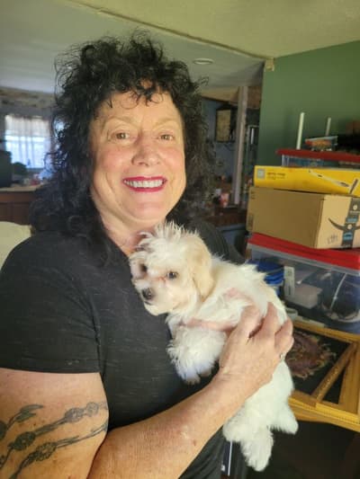 Darlene, a Malti Poo - Maltipoo puppy from Pawrade