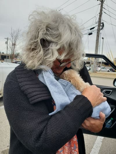 Cresslyn, a Bich-Poo - Bichpoo puppy from Pawrade