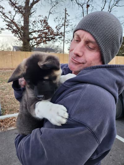 Maeve, a Akita puppy from Pawrade