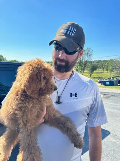 Unique, a Poodle, Standard puppy from Pawrade