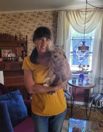 Bennett, a Goldendoodle, Mini puppy from Pawrade