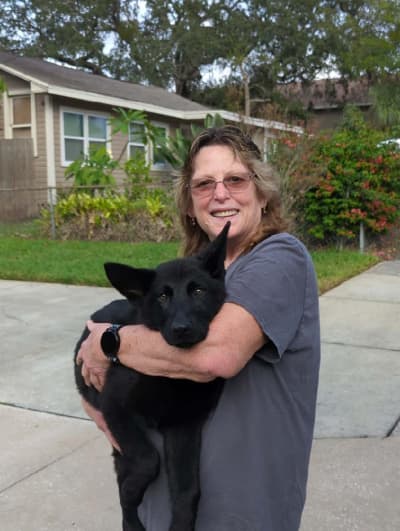 Journey, a German Shepherd puppy from Pawrade