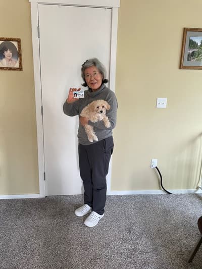 Vanessa, a Havapoo puppy from Pawrade