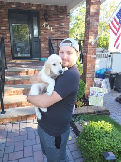 Hayden, a Golden Retriever puppy from Pawrade