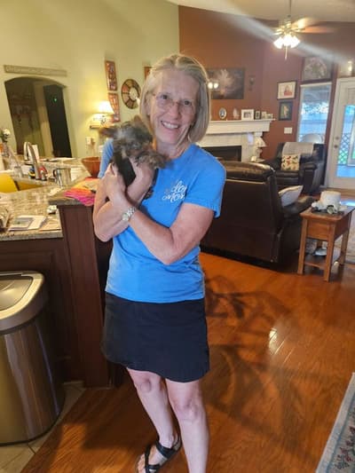 Benson, a Yorkshire Terrier - Yorkie puppy from Pawrade