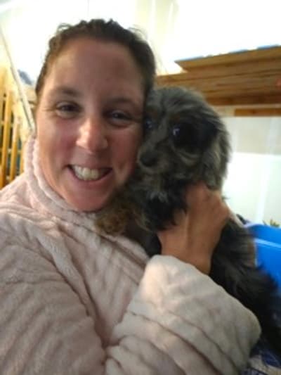 Vienna, a Doxiepoo puppy from Pawrade
